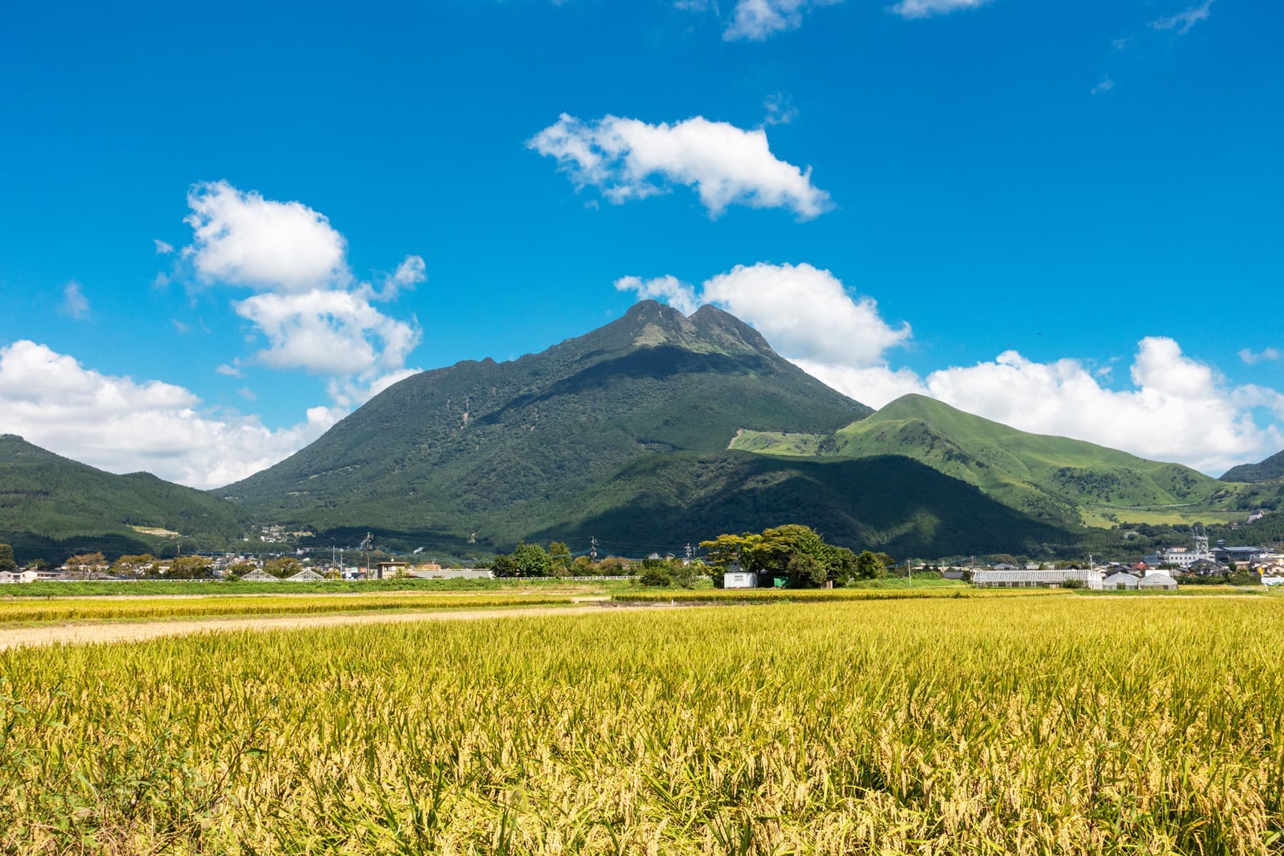 adobestock_374903809.jpg