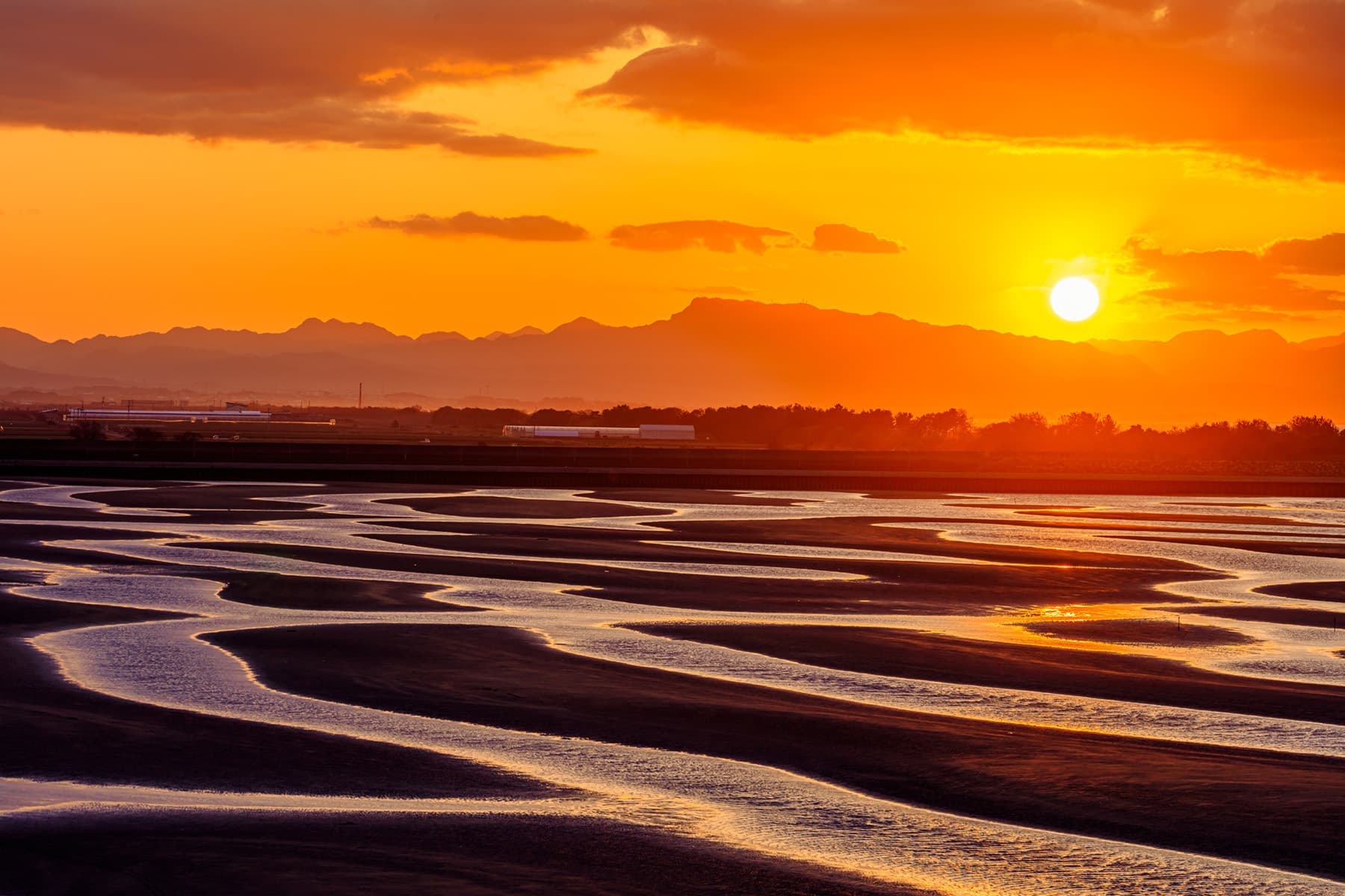 adobestock_749021530.jpg