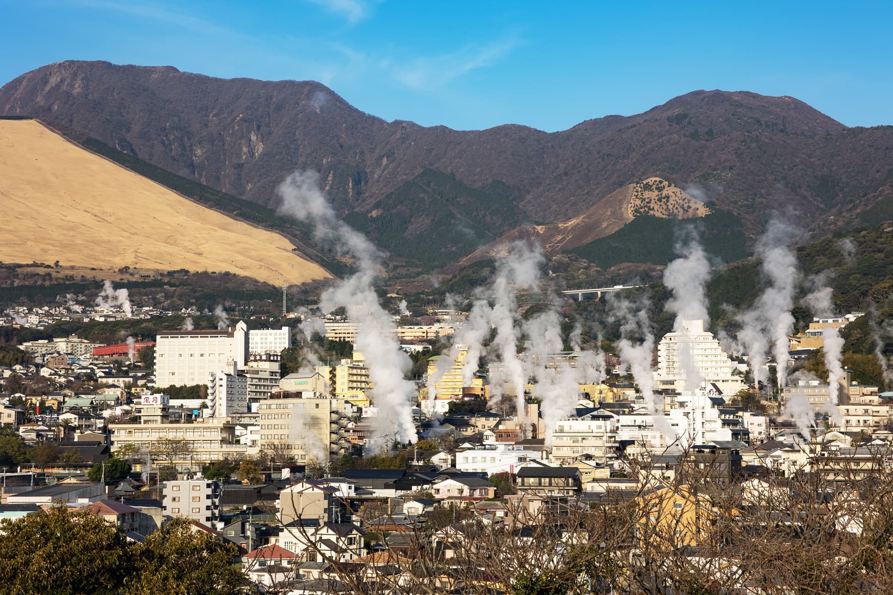 adobestock_422772047.jpg