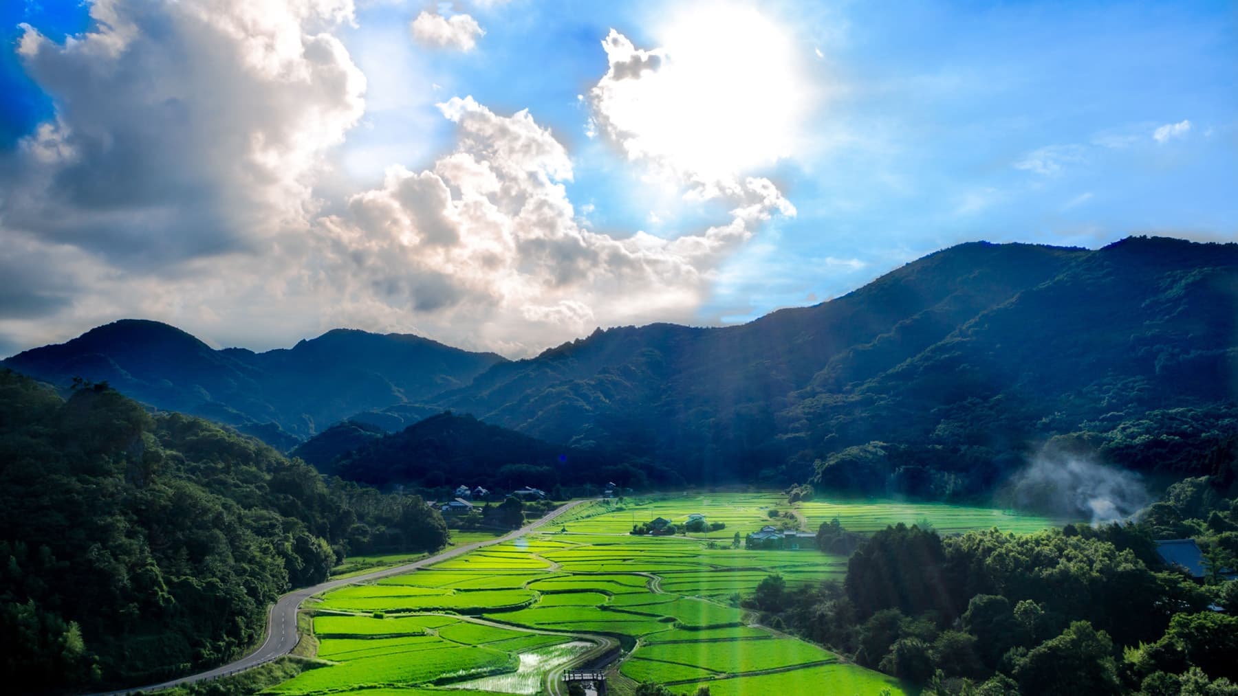 adobestock_167943607.jpg